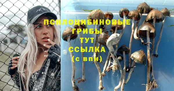 каннабис Фёдоровский