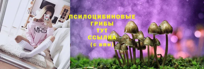 Галлюциногенные грибы мицелий  Сыктывкар 