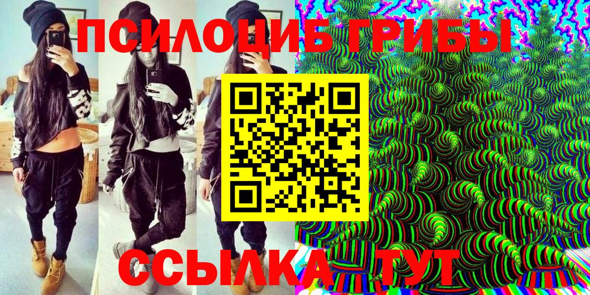 Псилоцибиновые грибы MAGIC MUSHROOMS  Псилоцибиновые грибы Cubensis  где купить наркотик  Сыктывкар 