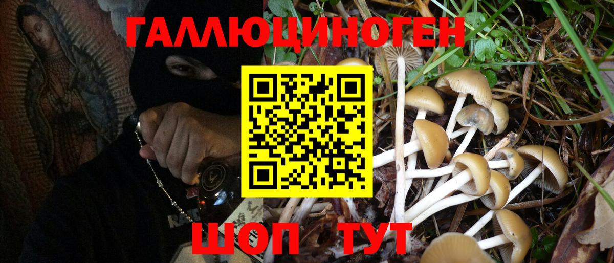 Псилоцибиновые грибы Magic Shrooms Сыктывкар