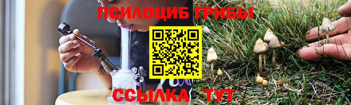 дарнет шоп  Вход с VPN  Сыктывкар  Псилоцибиновые грибы мицелий 